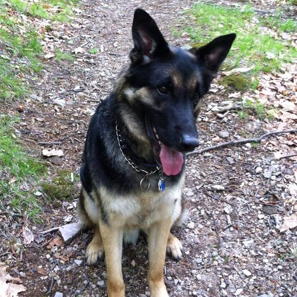 Meet your Posher, Paula - Picture 1 of 1